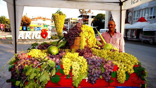 Sarıgöl de üzümden dev salkım 3