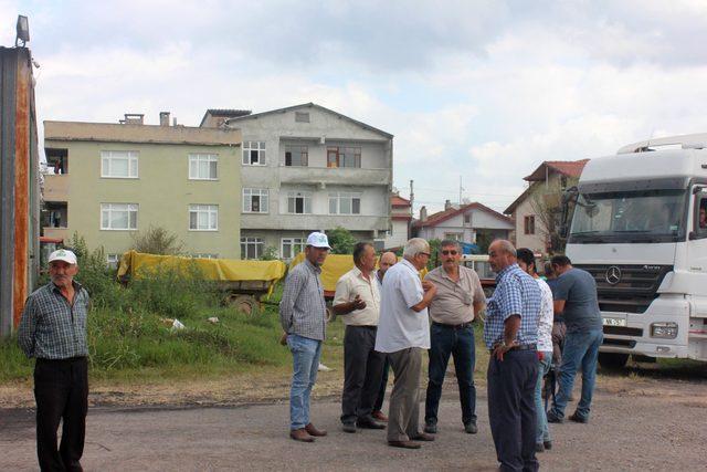 Ayçiçeği üreticilerinin 'fiyat' şikayeti