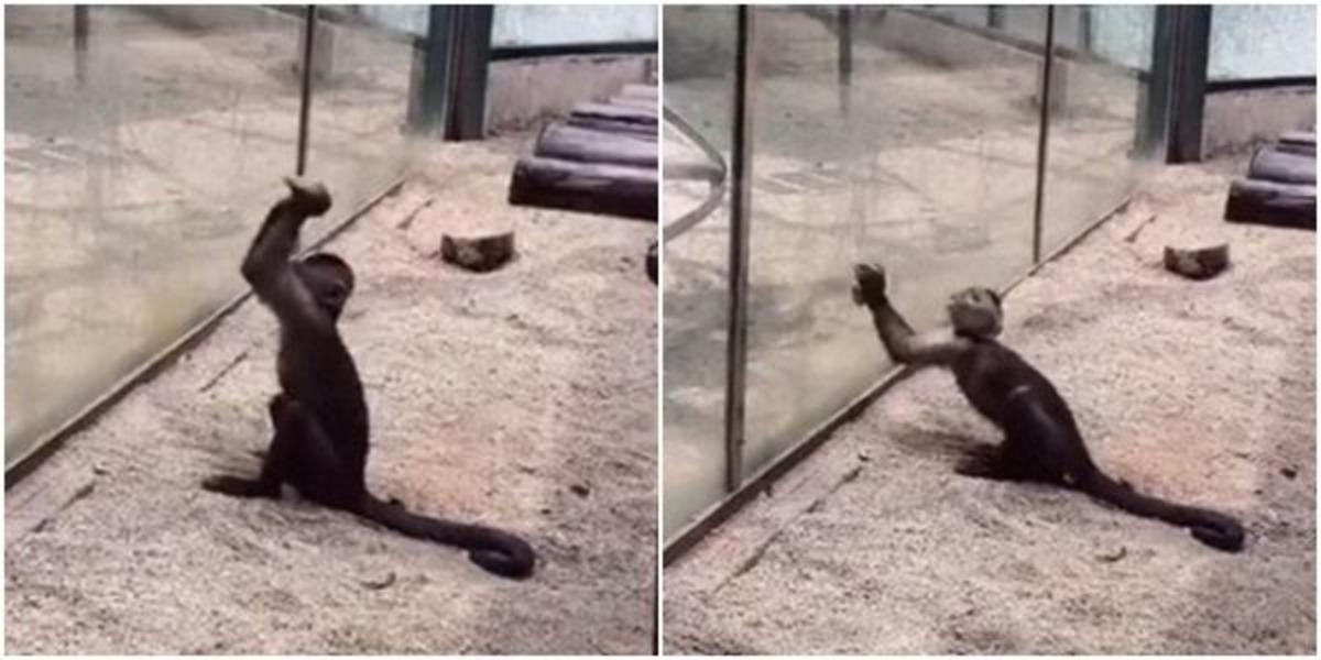 Ka&ccedil;mak i&ccedil;in bulduğu y&ouml;ntem herkesi şaşırttı!