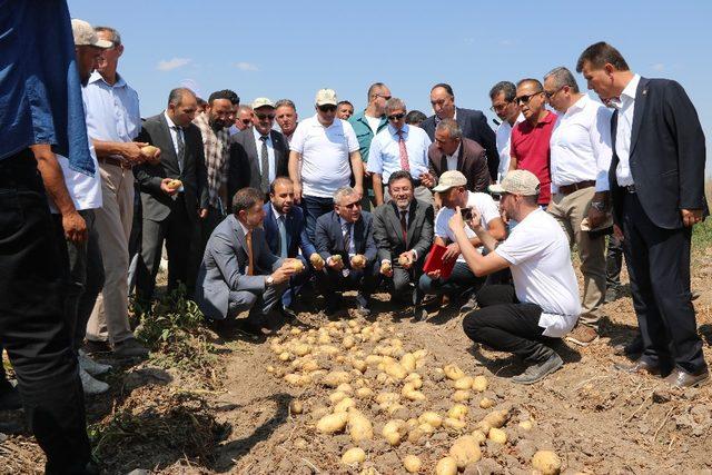 Patates üretiminde hedef verimi yüzde 25’in üzerine çıkarmak