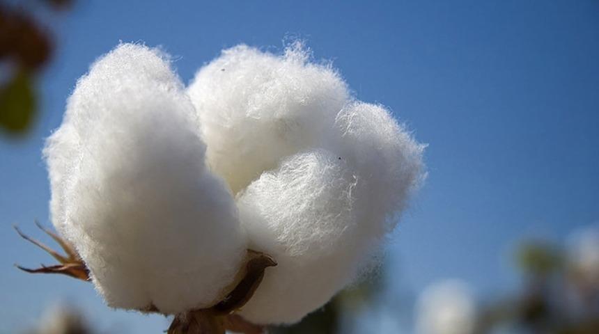 ATB Başkanı &Ccedil;ondur; &ldquo;Pamuk &uuml;retiminin s&uuml;rd&uuml;r&uuml;lebilirliği i&ccedil;in &ouml;nlemlerin alınmasını talep ediyoruz&rdquo;