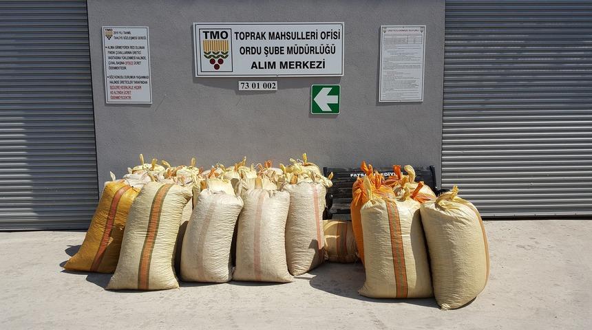 Serbest piyasadaki fındıkta fiyat düşüşü tedirgin ediyor