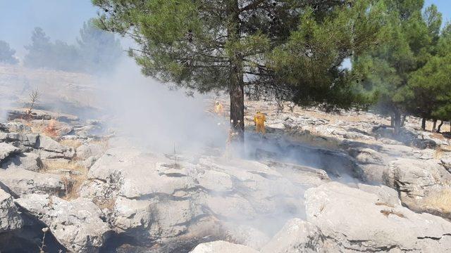 Adıyaman’da orman yangını