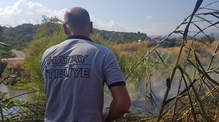 Samandağ’da bitki örtüsü yangını