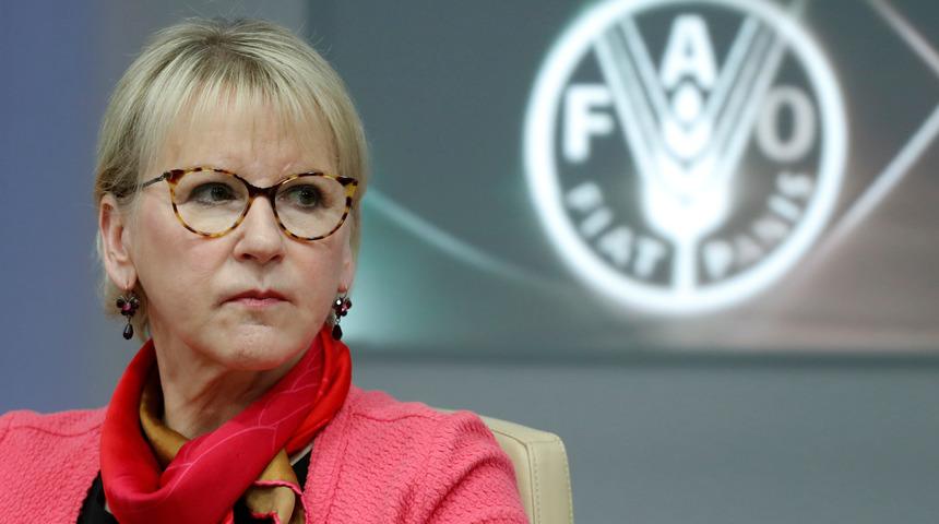 İsve&ccedil; Dışişleri Bakanı istifa etti