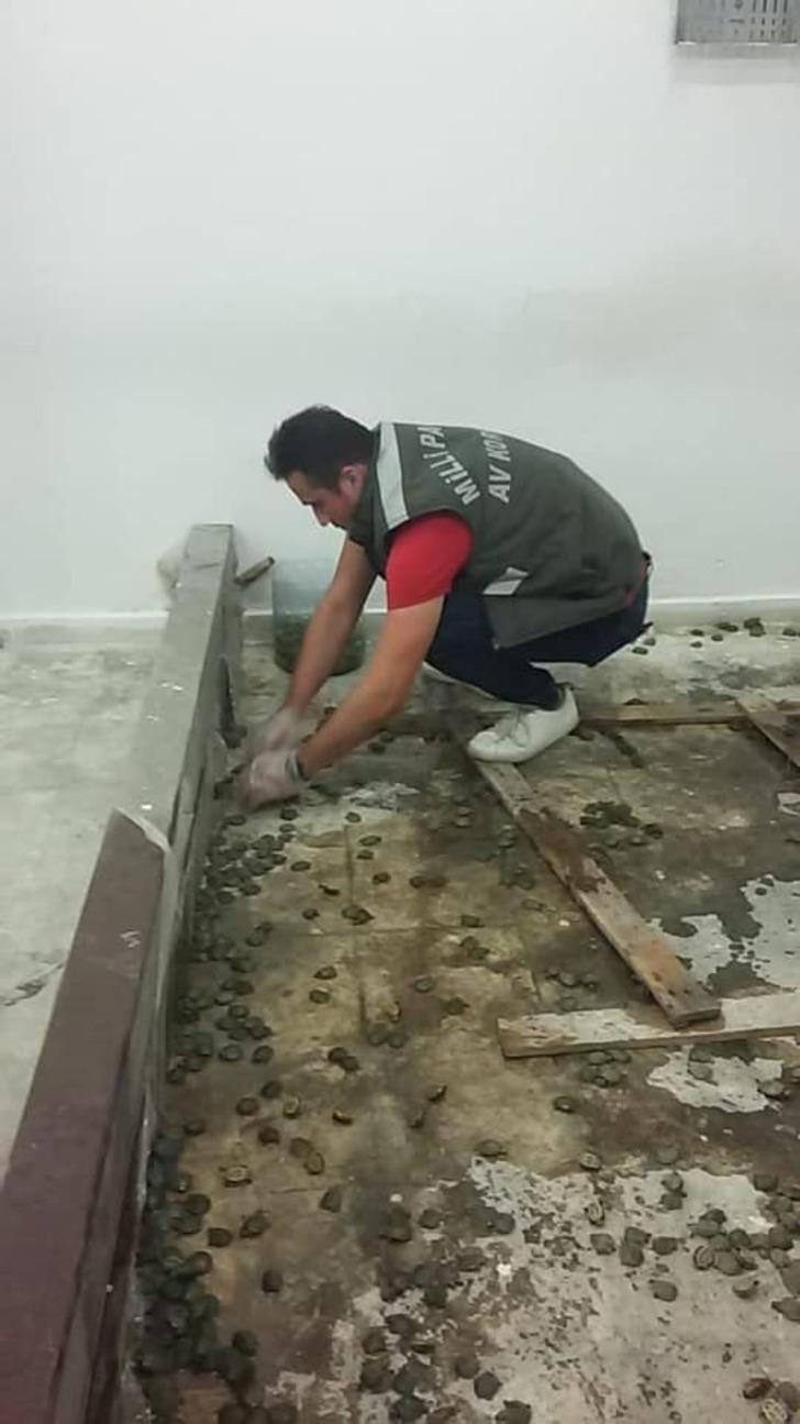 Sarp Sınır Kapısı’nda 2 bin 500 su kaplumbağası ele geçirildi G1