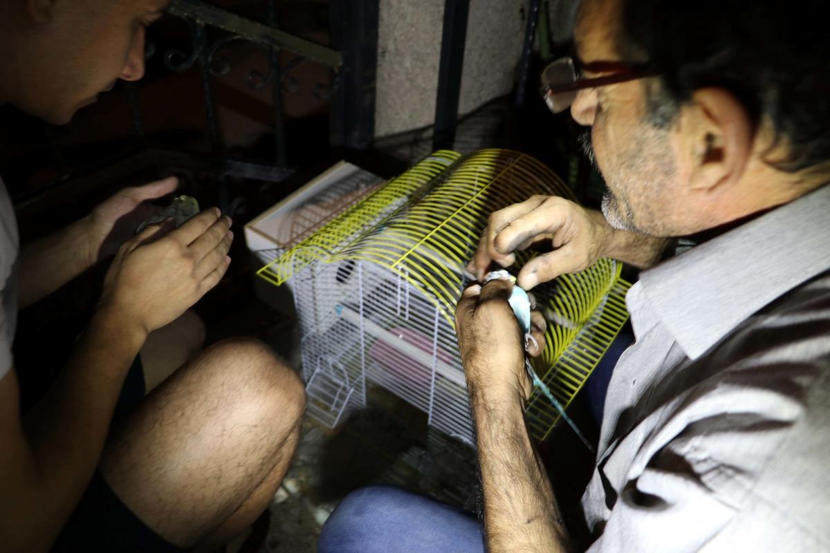 Muhabbet kuşlarının can &ccedil;ekiştiğini g&ouml;r&uuml;nce suni teneff&uuml;s yaptı