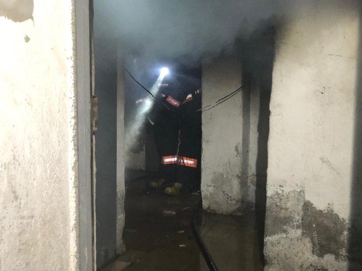 Muhabbet kuşlarının can çekiştiğini görünce suni teneffüs yaptı G5