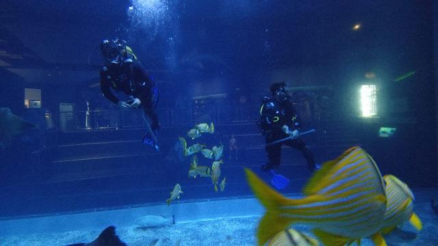 İstanbul'un Jaws'ları ile dalış keyfi