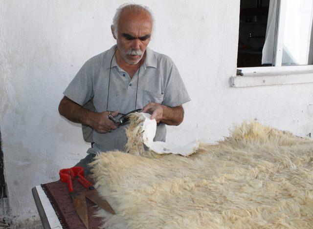 Koyun derilerini işleyerek &ccedil;oban k&uuml;rk&uuml; yapıyor 1