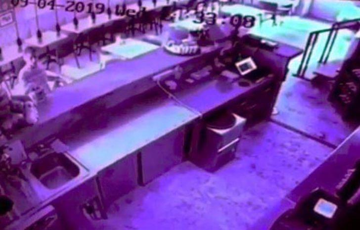 Antalya Kaleiçi'nde 'bahşiş kutusu faresi' işletmecileri canından bezdirdi G2