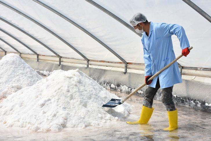 ABD araştırdı, Delice tuzunda mikroplastiğe rastlamadı G4