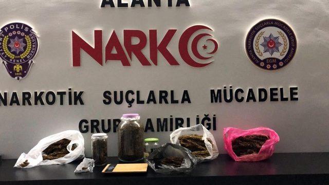 Alanya’da 2 kardeş 2 kilogram uyuşturucuyla yakalandı