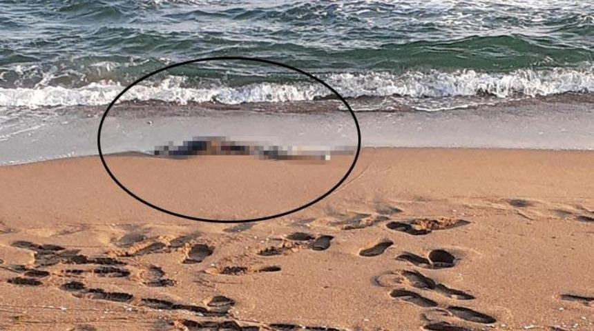 Sakarya sahilinde iskelet bulundu