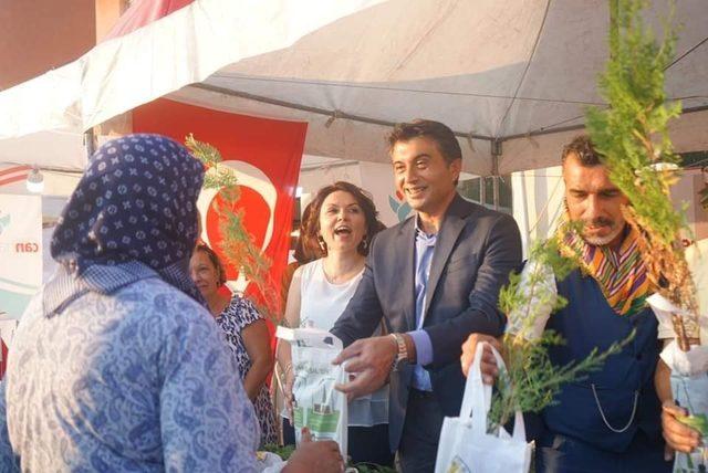 Festivalde 2 bin selvi fidanı dağıtıldı