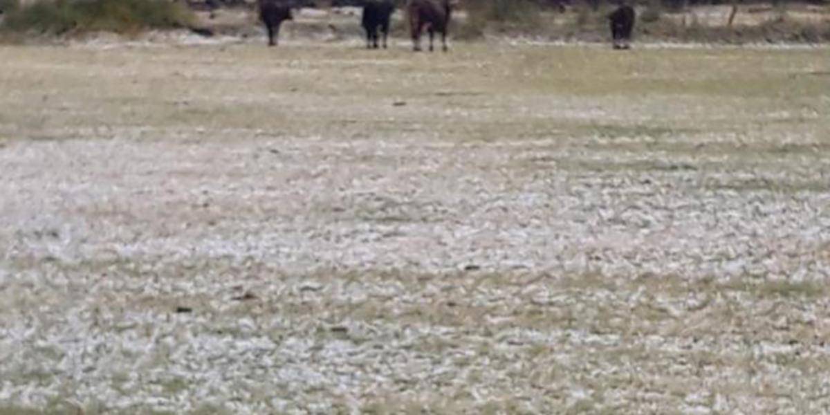 Hayatı fel&ccedil; etti! Her yeri beyaza b&uuml;r&uuml;d&uuml;