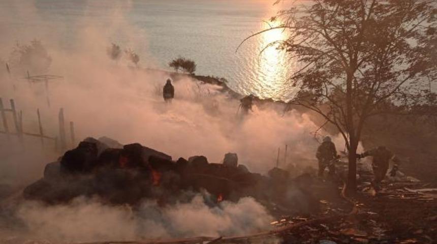 Yüzlercesi telef oldu! Acı manzara