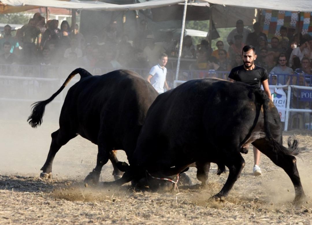 İspanya değil, Muğla