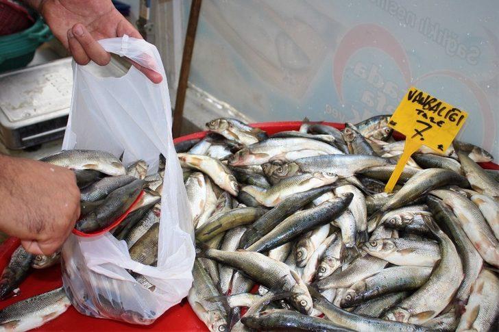 Van Gölü’nün inci kefali değer kazandı G2