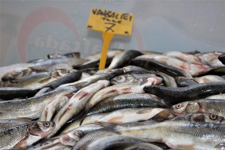 Van Gölü’nün inci kefali değer kazandı G3