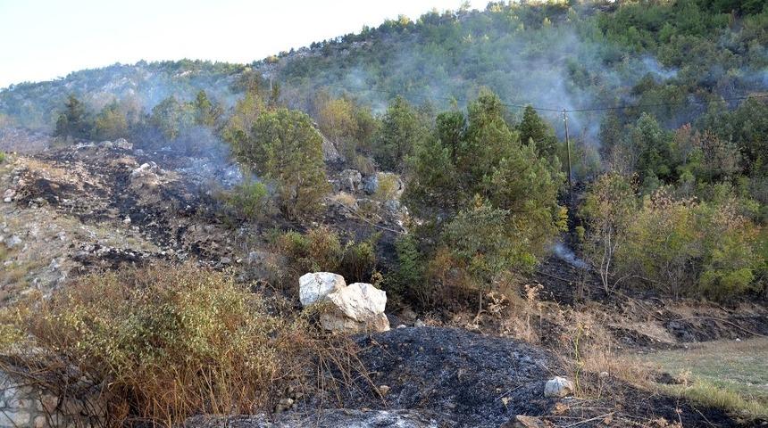 Sigara izmariti 5 d&ouml;n&uuml;ml&uuml;k ormanı k&uuml;l etti