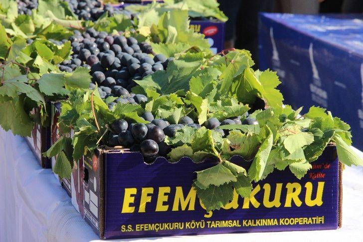 “Enfes” üzüme enfes festival G5