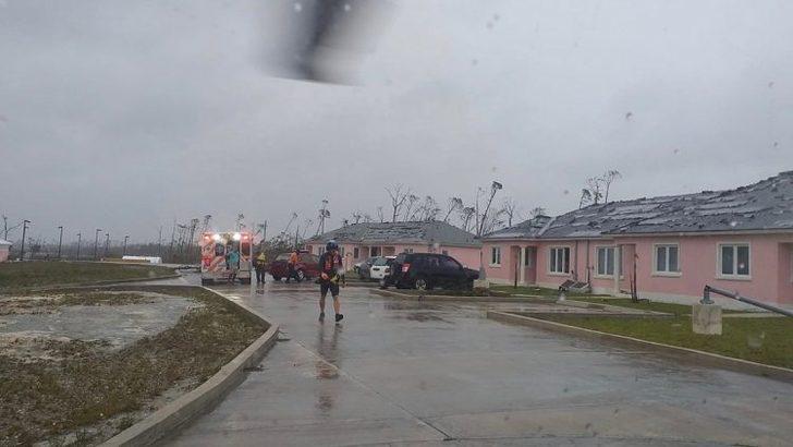 97 köpekle birlikte yaşıyor! Sebebi ise büyük takdir topladı G1