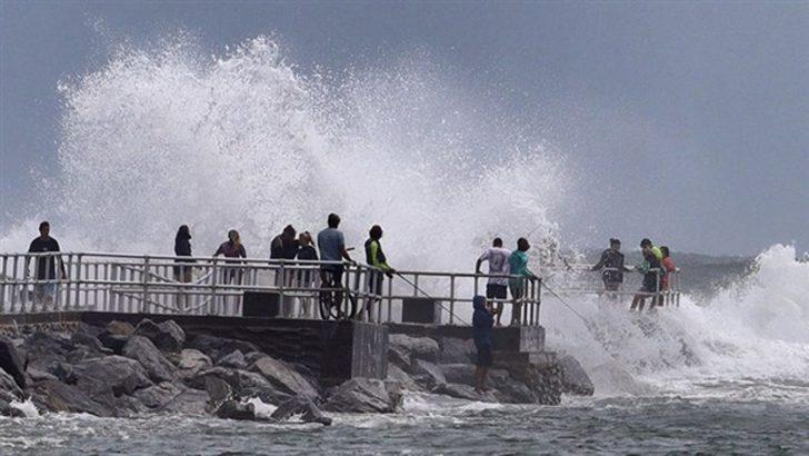 97 köpekle birlikte yaşıyor! Sebebi ise büyük takdir topladı G2