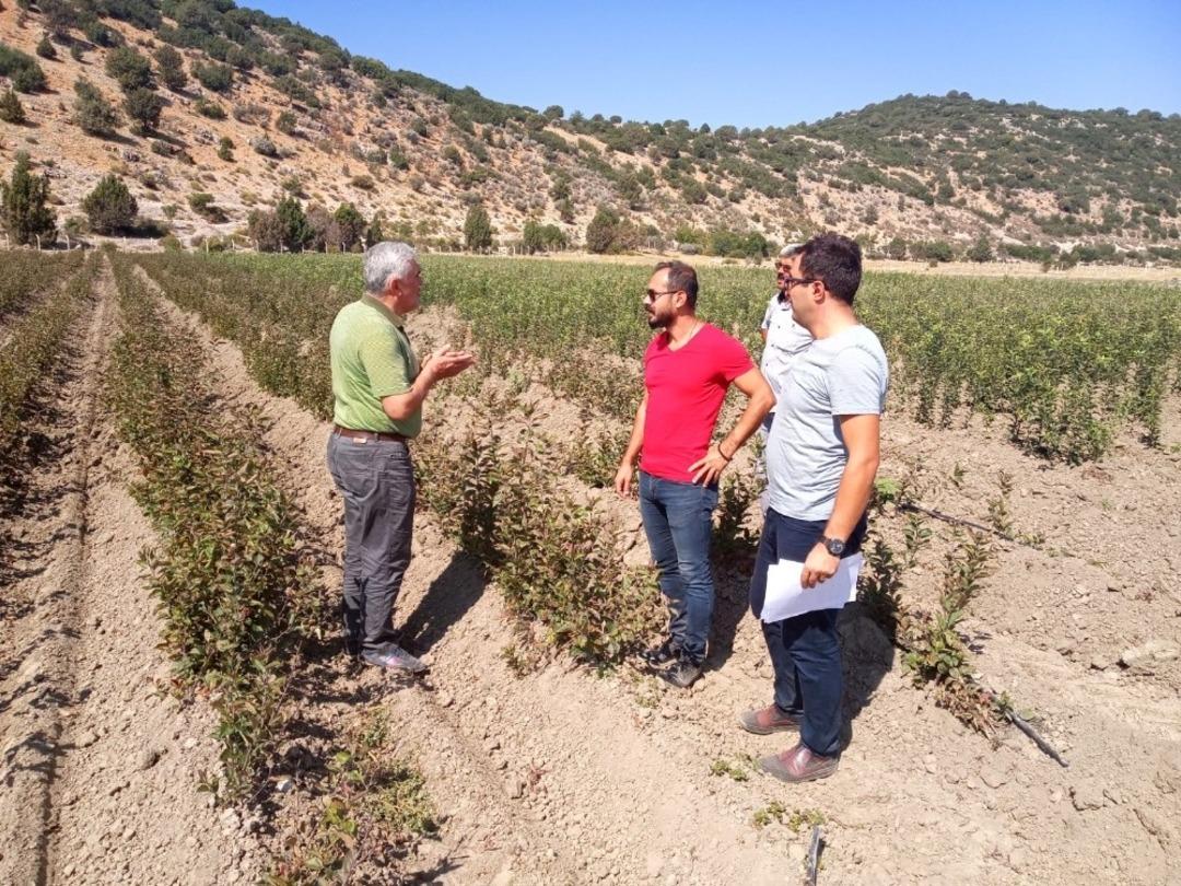 Aksu&rsquo;da tuzak kontrolleri, Akseki&rsquo;de k&uuml;peleme ve suni tohumlama yapıldı