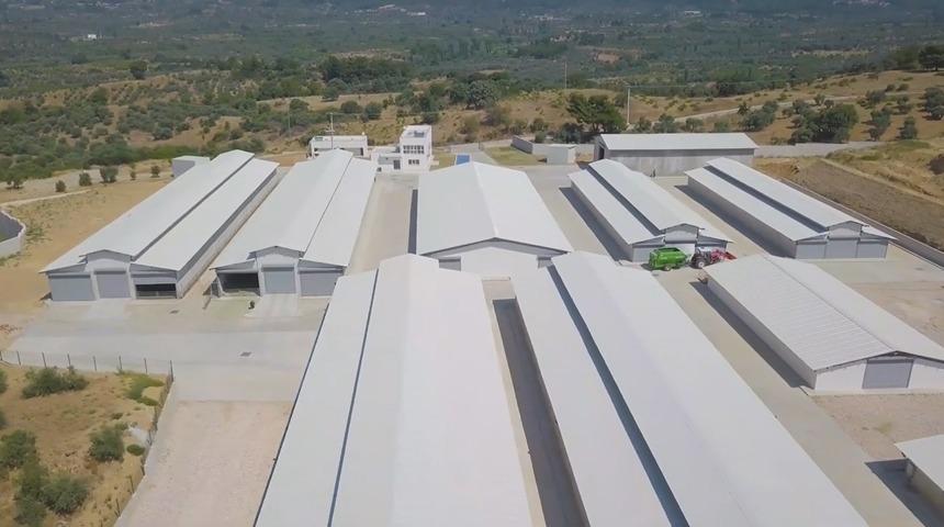 Türkiye’nin en modern keçi çiftliği İzmir’de kuruldu