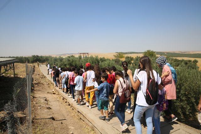 Haliliyeli öğrenciler Göbeklitepe’yi gezdi