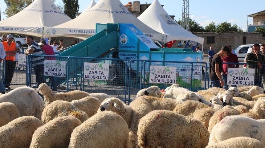 Talas’ta Hayvancılığa Destek