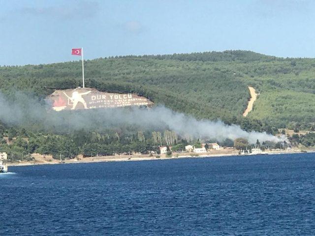 Çanakkale’de orman yangını söndürüldü