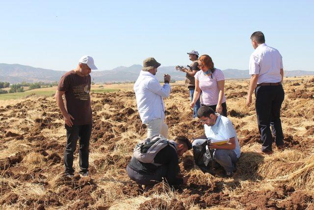 Bingöl’de arkeolojik yüzey araştırması, Demir ve Orta Çağ’a ait buluntular elde edildi