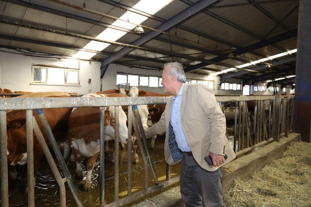 Rekt&ouml;r &Ccedil;omaklı hafta sonu mesailerine devam ediyor