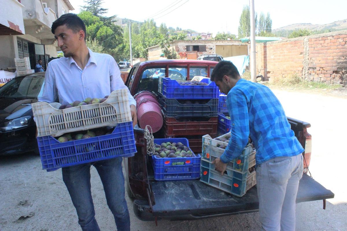 &Ccedil;ift&ccedil;iden kilosu 5 liraya alınan siyah incirin Avrupa'da tanesi 1 avro