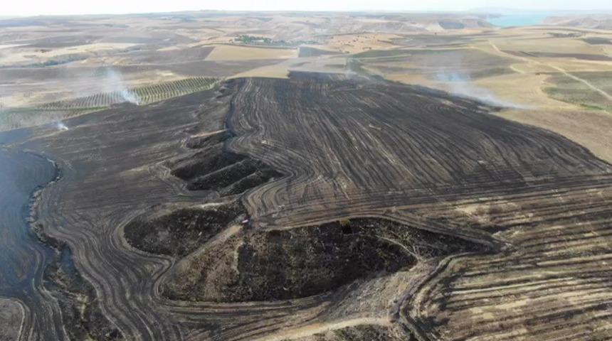 Anız yangını bah&ccedil;elere sı&ccedil;radı