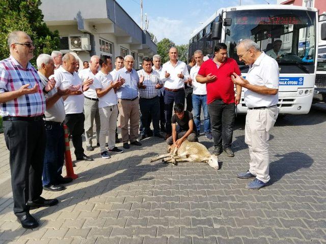 Zil çaldı, şoförler kurban keserek direksiyon başına geçti