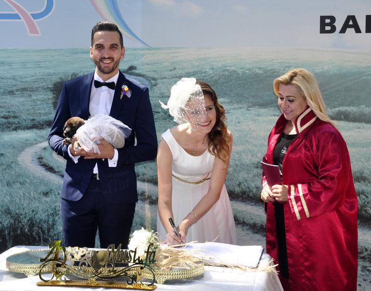 Hayvansever çift, barınakta evlendi G5