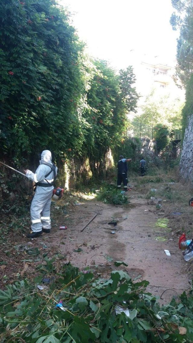 Muğla Büyükşehir 17 kilometre dere temizliği yaptı