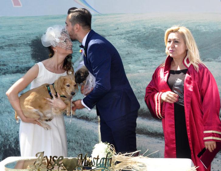 Hayvansever çift, barınakta evlendi G2