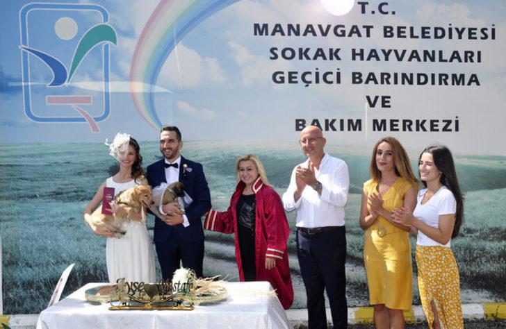 Hayvansever çift, barınakta evlendi G3