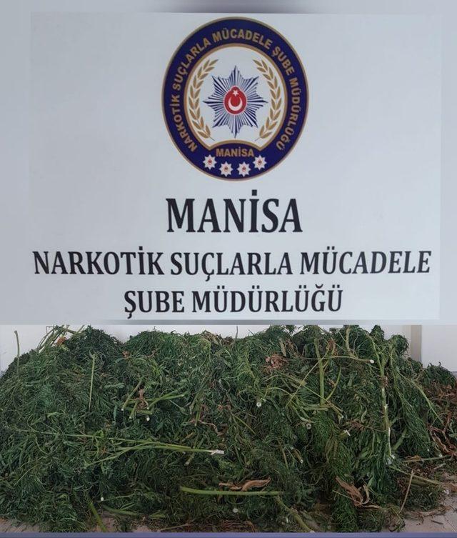 Manisa’da 23 kilo esrar ele geçirildi