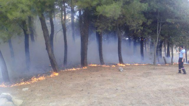 Eski mezarlıkta çıkan yangında ağaç ve mezarlar zarar gördü