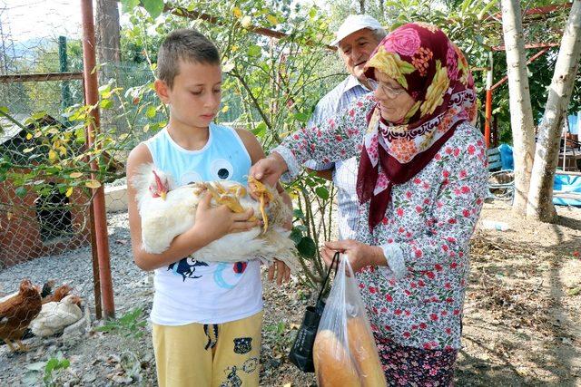 4 bacaklı tavuk