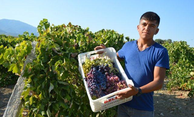 Yörük Türkmen Dernekleri Manisa’da buluşacak