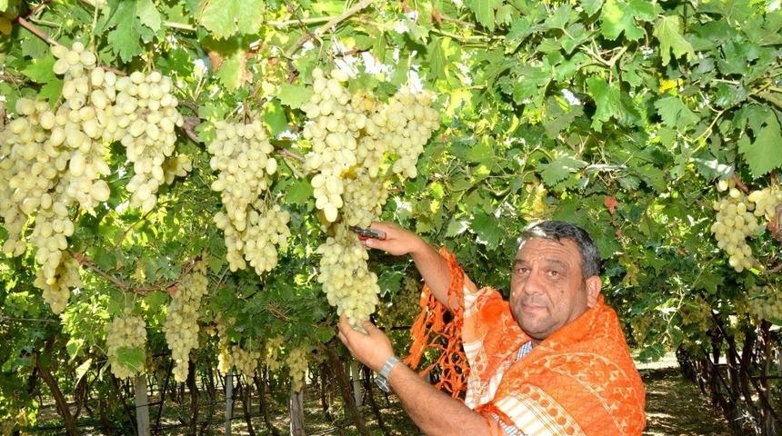 Y&ouml;r&uuml;k T&uuml;rkmen Dernekleri Manisa&rsquo;da buluşacak