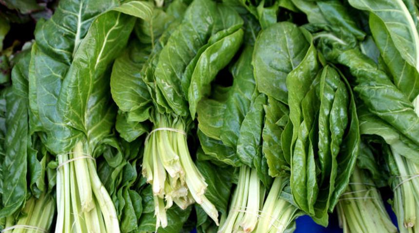 Herkes ıspanakla karıştırıyor! Taze tüketilince vücudu yeniliyor