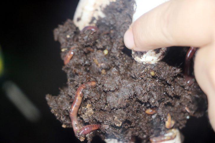  İnsanların kendisiyle dalga geçtiği işte talebe yetişemiyor G1