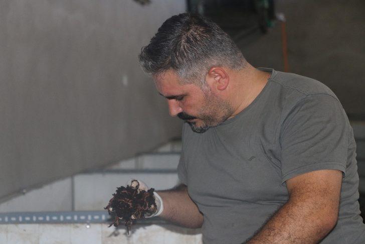  İnsanların kendisiyle dalga geçtiği işte talebe yetişemiyor G2